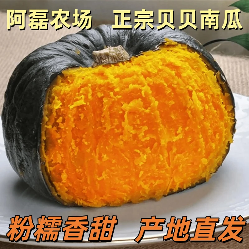 塞罕坝脚下的贝贝南瓜粉糯香甜板栗口味小果