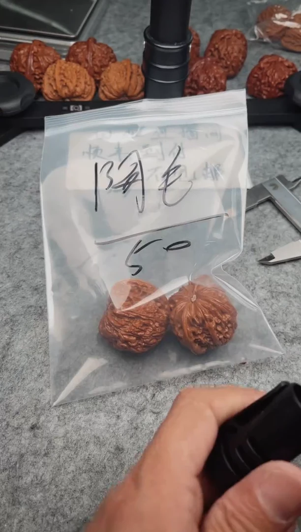 文玩核桃把件0609-S-阿毛。