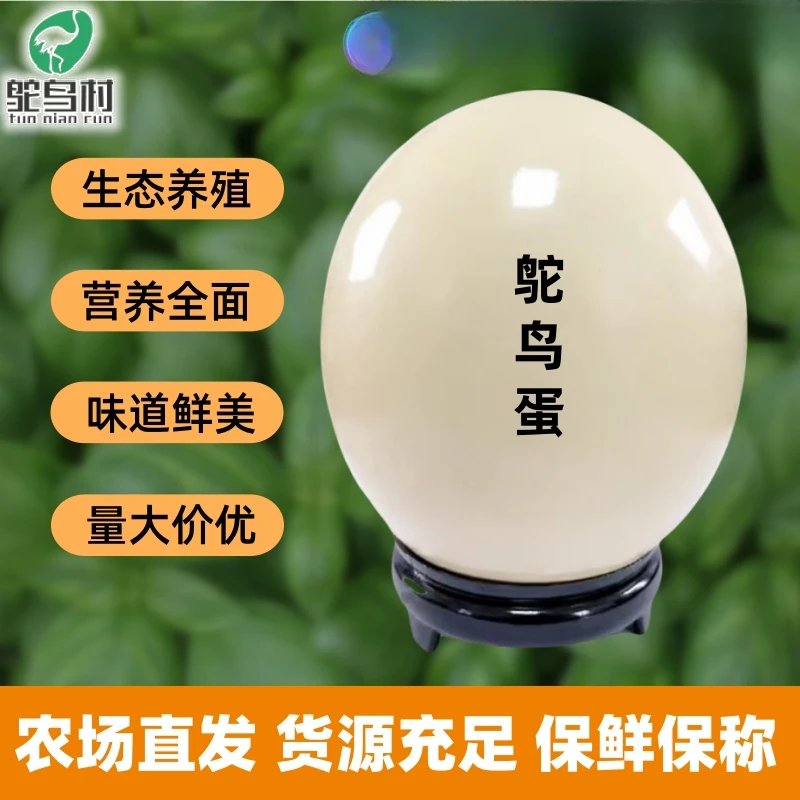 鸵鸟村鸵鸟蛋超大蛋送礼礼盒装驼鸟蛋孕妇可吃的蛋