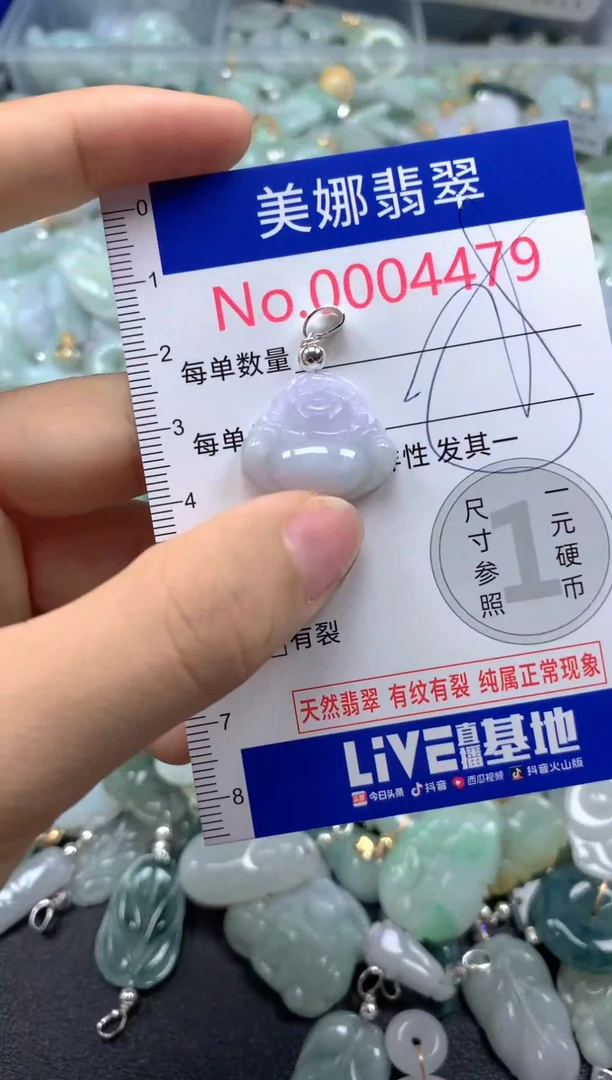 颈饰未镶嵌翡翠4479