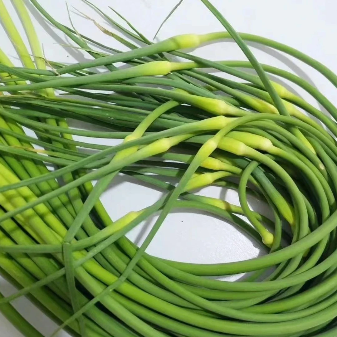 邳州本地 脆甜口感 新鲜蒜台