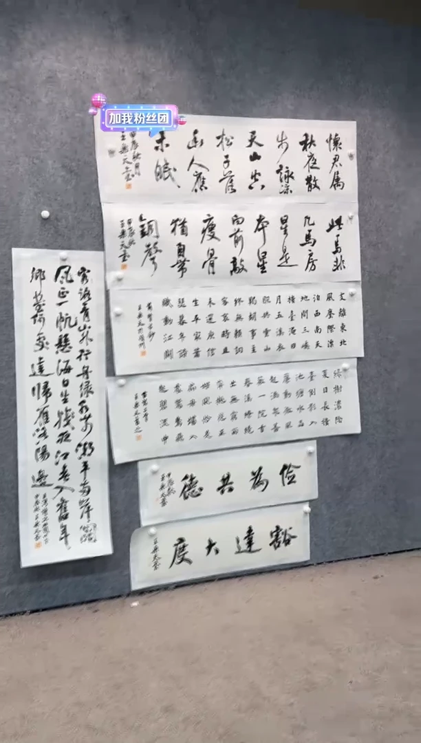 【闪购商品】书法pmb不二轩旗舰店国画WLT47