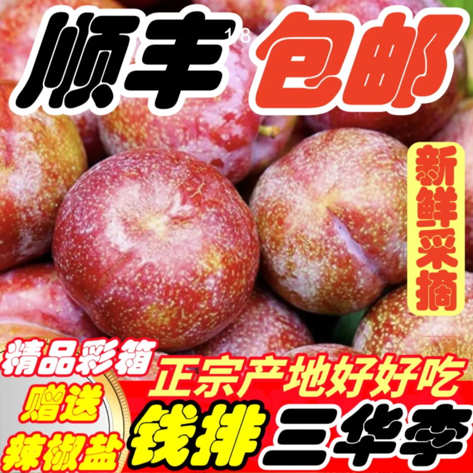 钱排三华李顺丰包邮李子新鲜广东当季孕妇酸水果红心李大果1-5斤