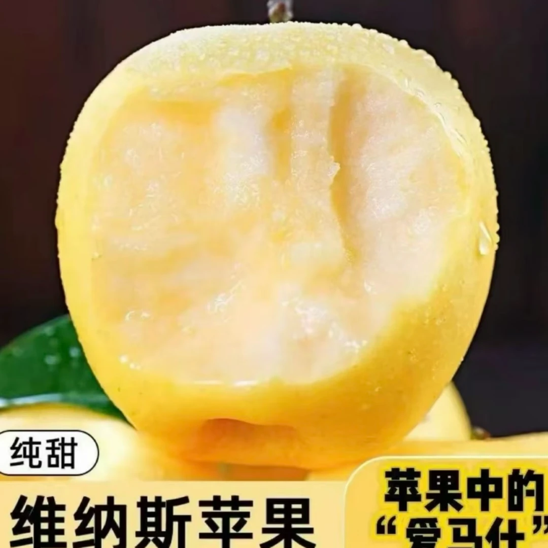【产地直发】山东黄金维纳斯苹果脆甜多汁产地直采当季新鲜水果