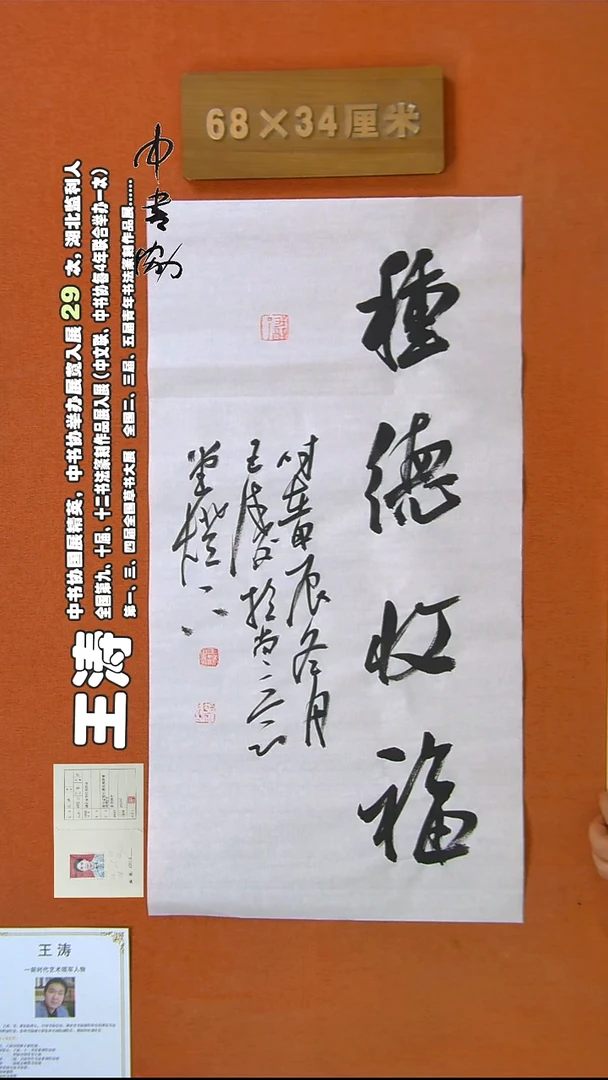 【闪购商品】书法296王涛书法作品