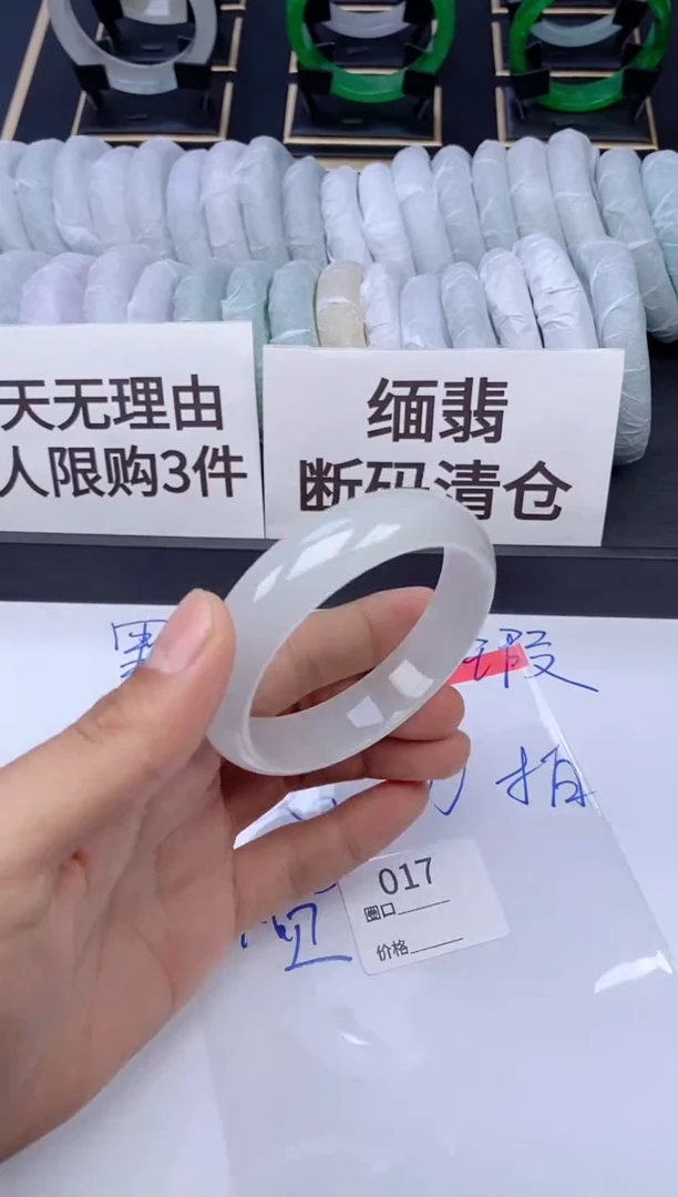 未镶嵌手镯翡翠017