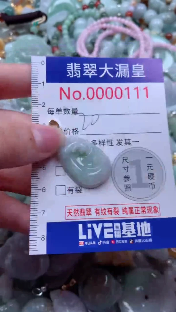 翡翠未镶嵌吊坠(不含链)111