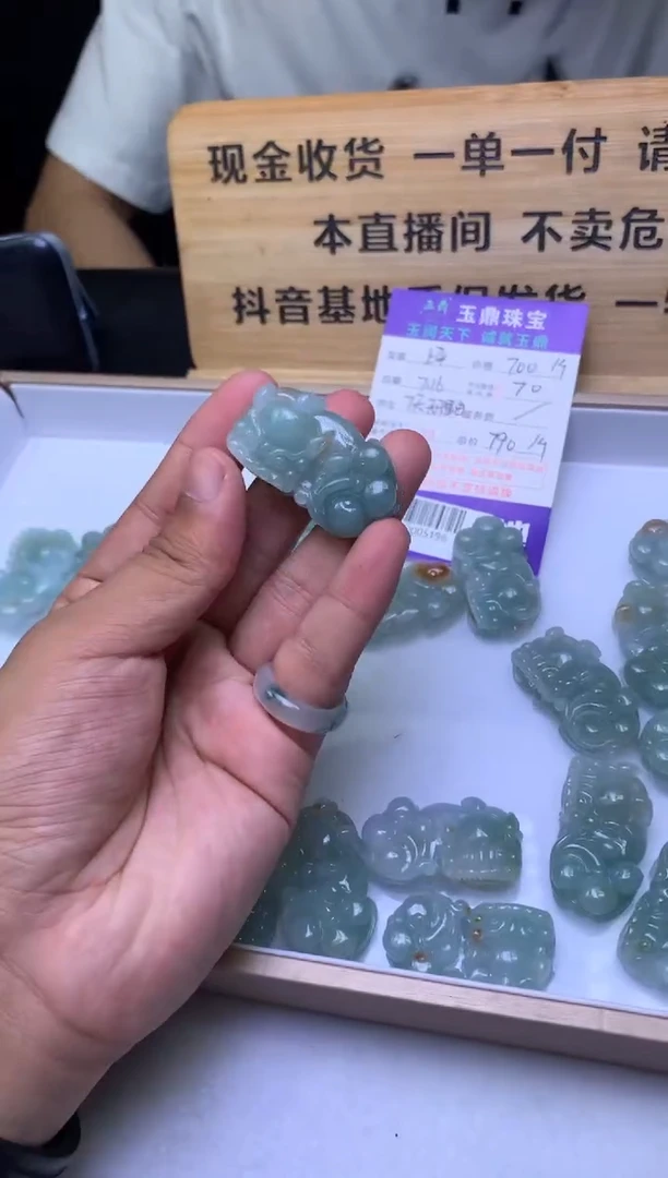 翡翠未镶嵌吊坠(不含链)多樣性發其一-F02005196