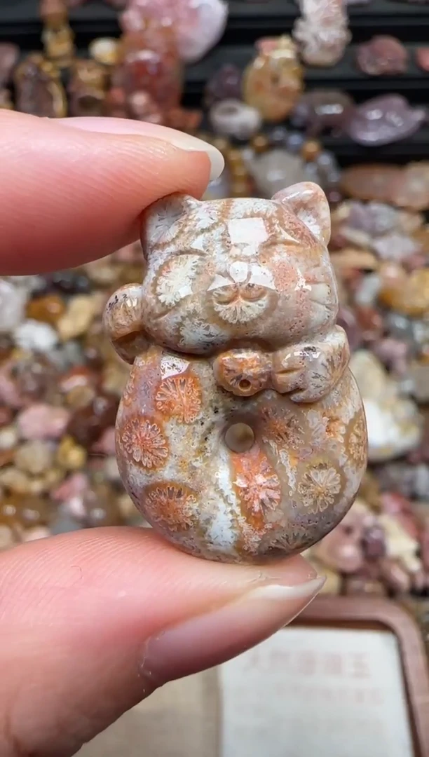 颈饰未镶嵌硅化珊瑚（珊瑚玉）225