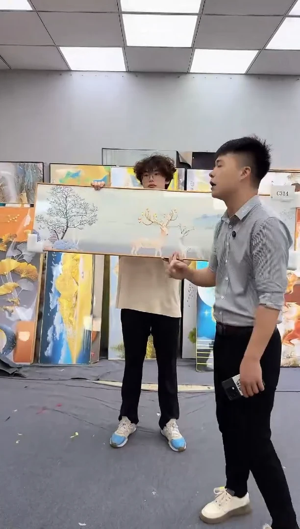 孤品微瑕黑马闪购C314