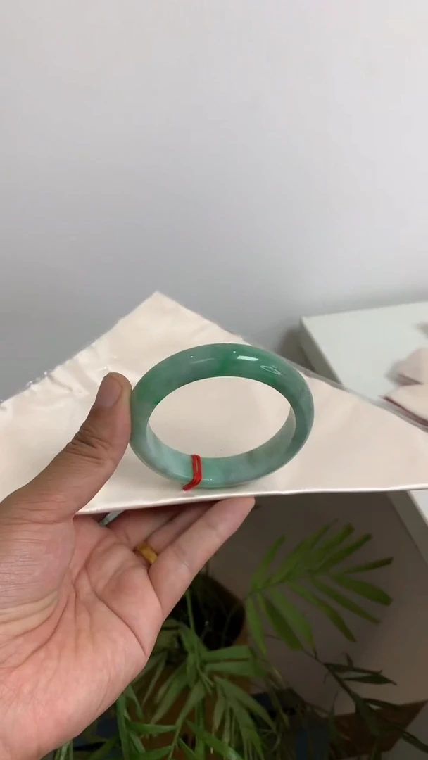 未镶嵌手镯翡翠绿毛鸡57