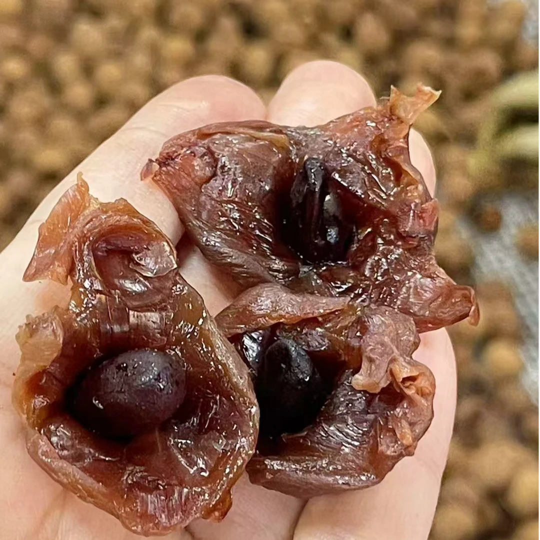 【2025新货】正宗广东桂味荔枝干  肉厚核小香甜 休闲零食泡水煲汤