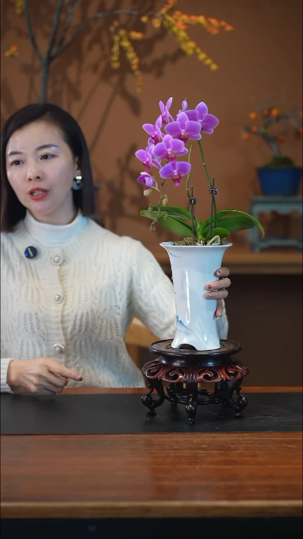 全部花朵粉珠帘青花盆景盆景盆景