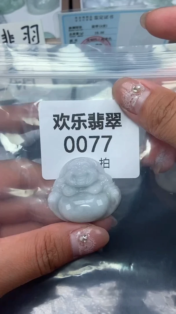 颈饰未镶嵌翡翠缅甸天然翡翠0077