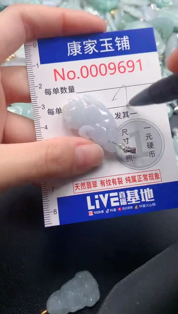 颈饰未镶嵌翡翠9691
