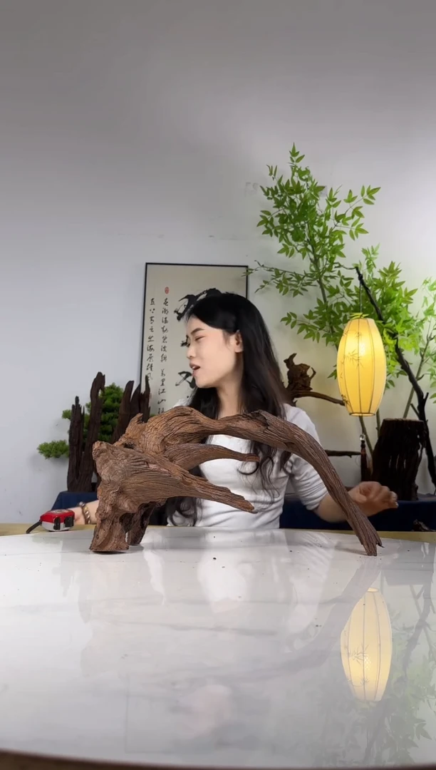我***锤拍这个定向编号59