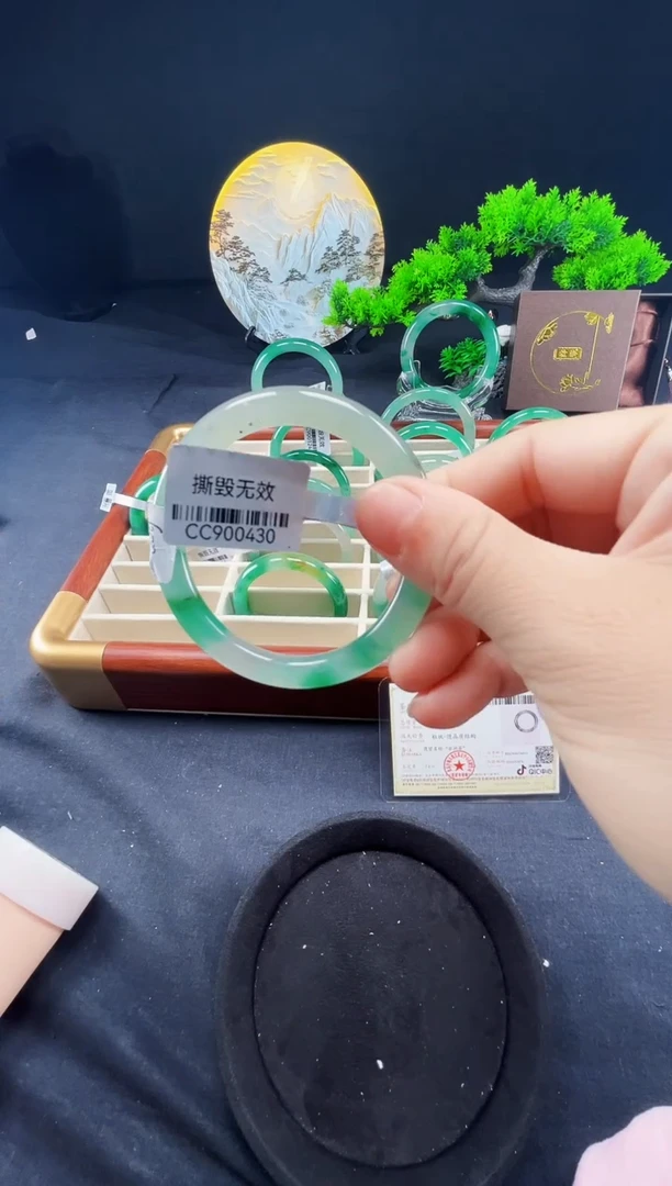 未镶嵌手镯石英质玉（非洲翠）真品上等纯天然非洲翠玉手镯石英质玉