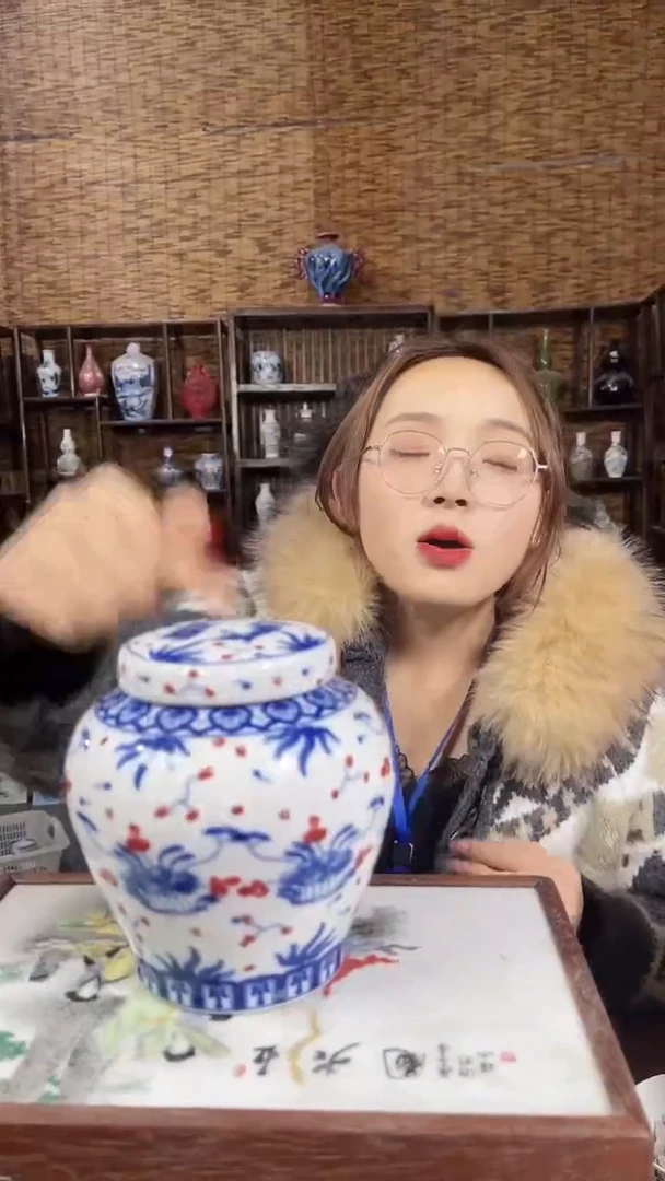 红星严选交流瓷器