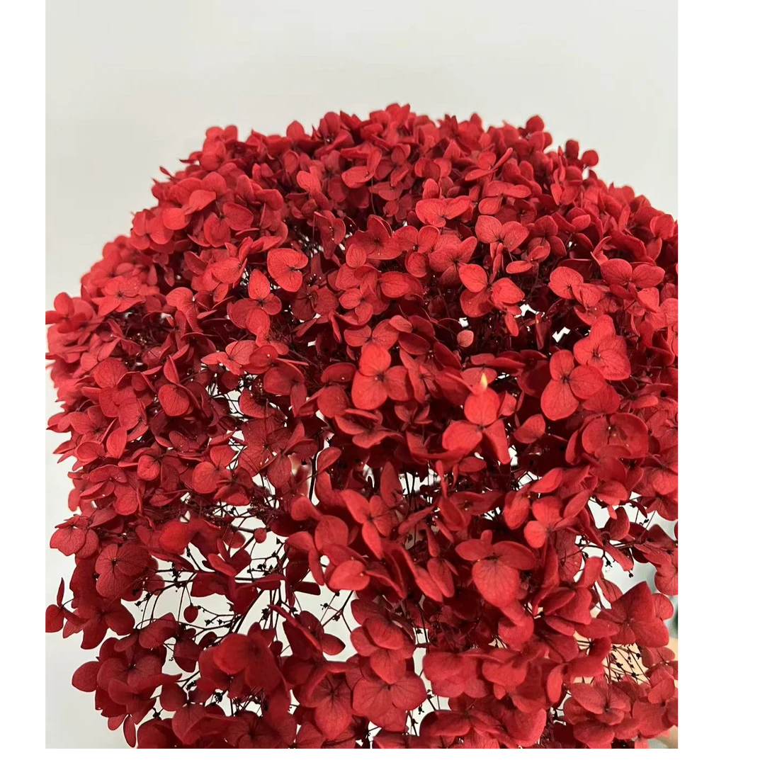 安娜绣球红色永生绣球 餐桌边几斗柜 绣球永生花（不带瓶）