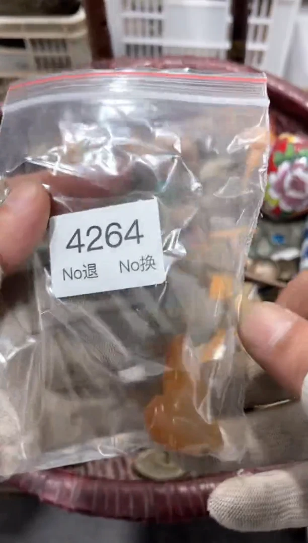 罐深***律88886666202509154264