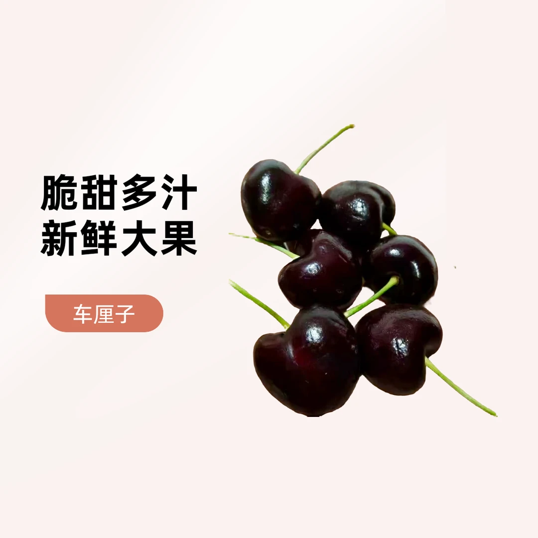 【年货节】瑞吉纳车厘子3J五斤