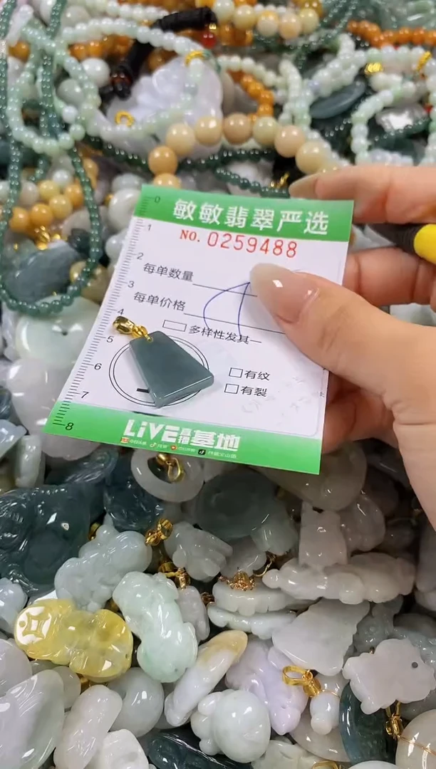 翡翠未镶嵌颈饰闪购0259488