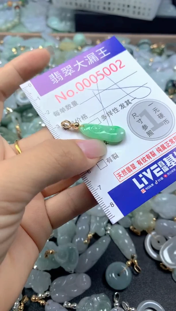 颈饰未镶嵌翡翠5002