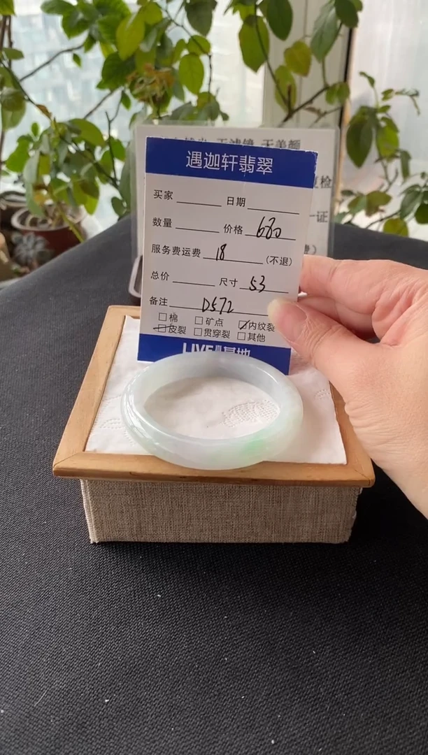 未镶嵌手镯翡翠53圈口D572编码