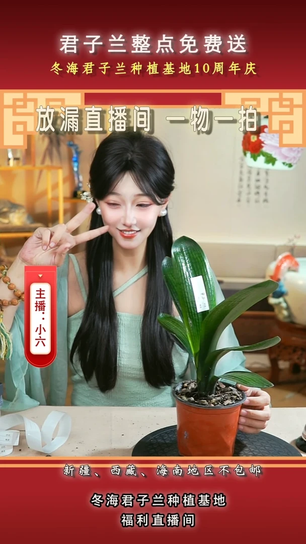 完全开放✨**✨君子兰