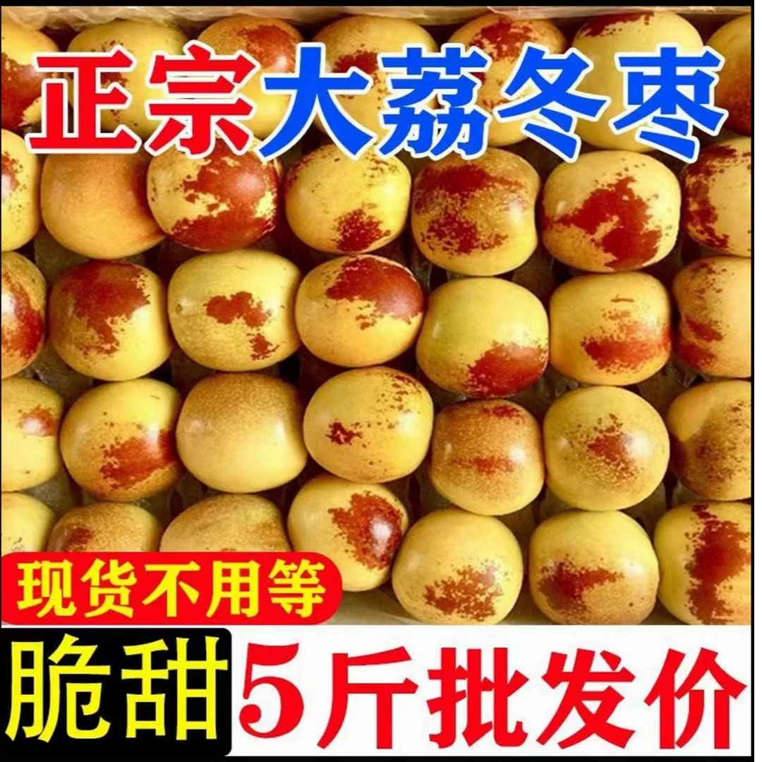 陕西大荔冬枣现摘现发应季新鲜水果脆甜多汁爽口