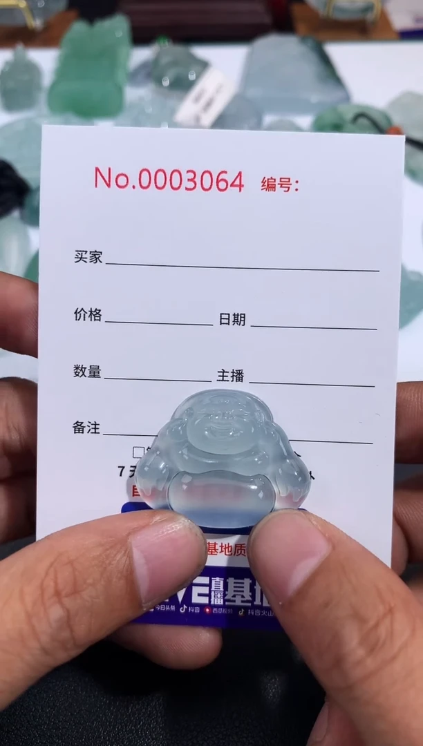 【闪购商品】翡翠颈饰未镶嵌丽