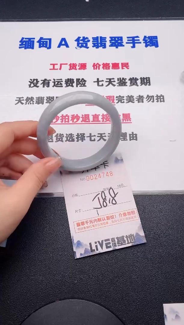 未镶嵌手镯翡翠48