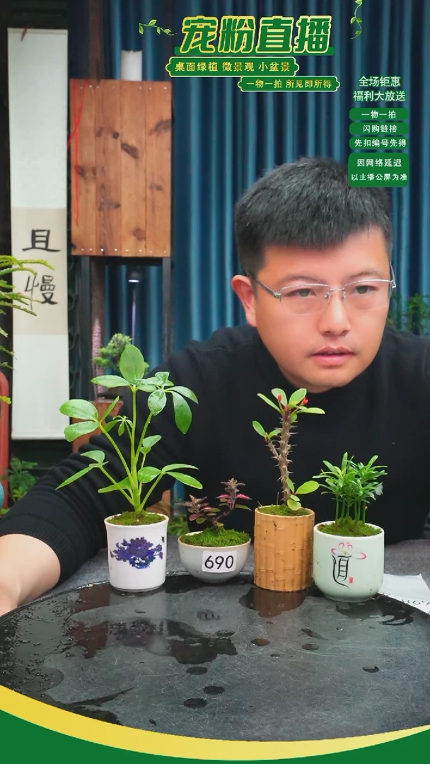 无花朵汪*程苔藓微景观690号