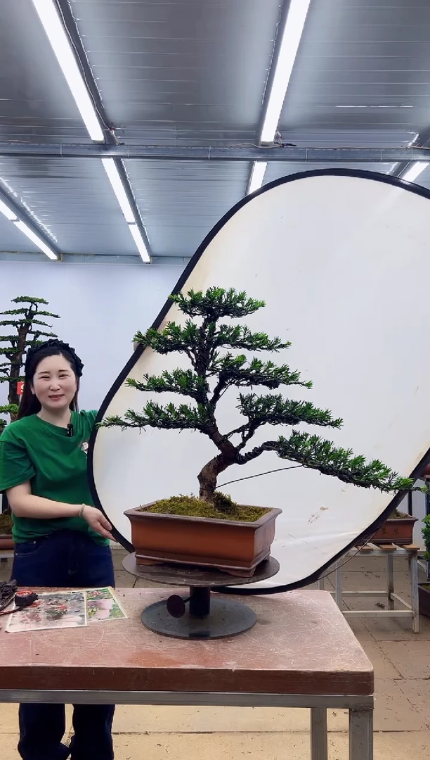无花朵一物一拍，所见即所得