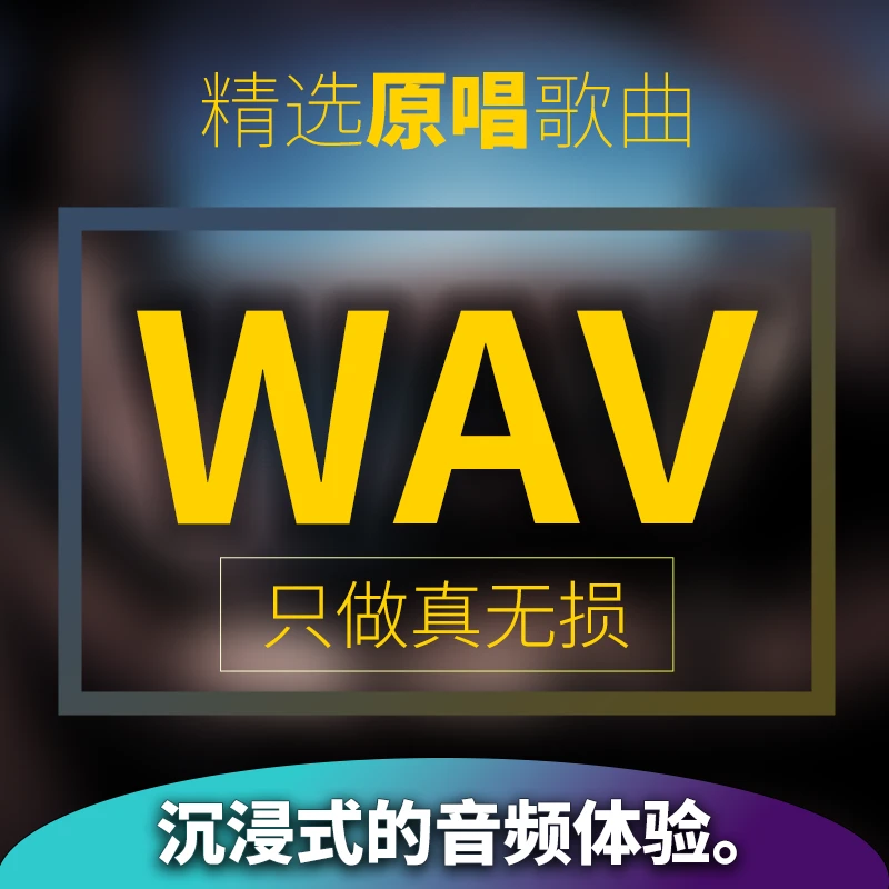2025新款车载u盘歌曲WAV无损FLAC音质无损高品质柏林之声网红热歌