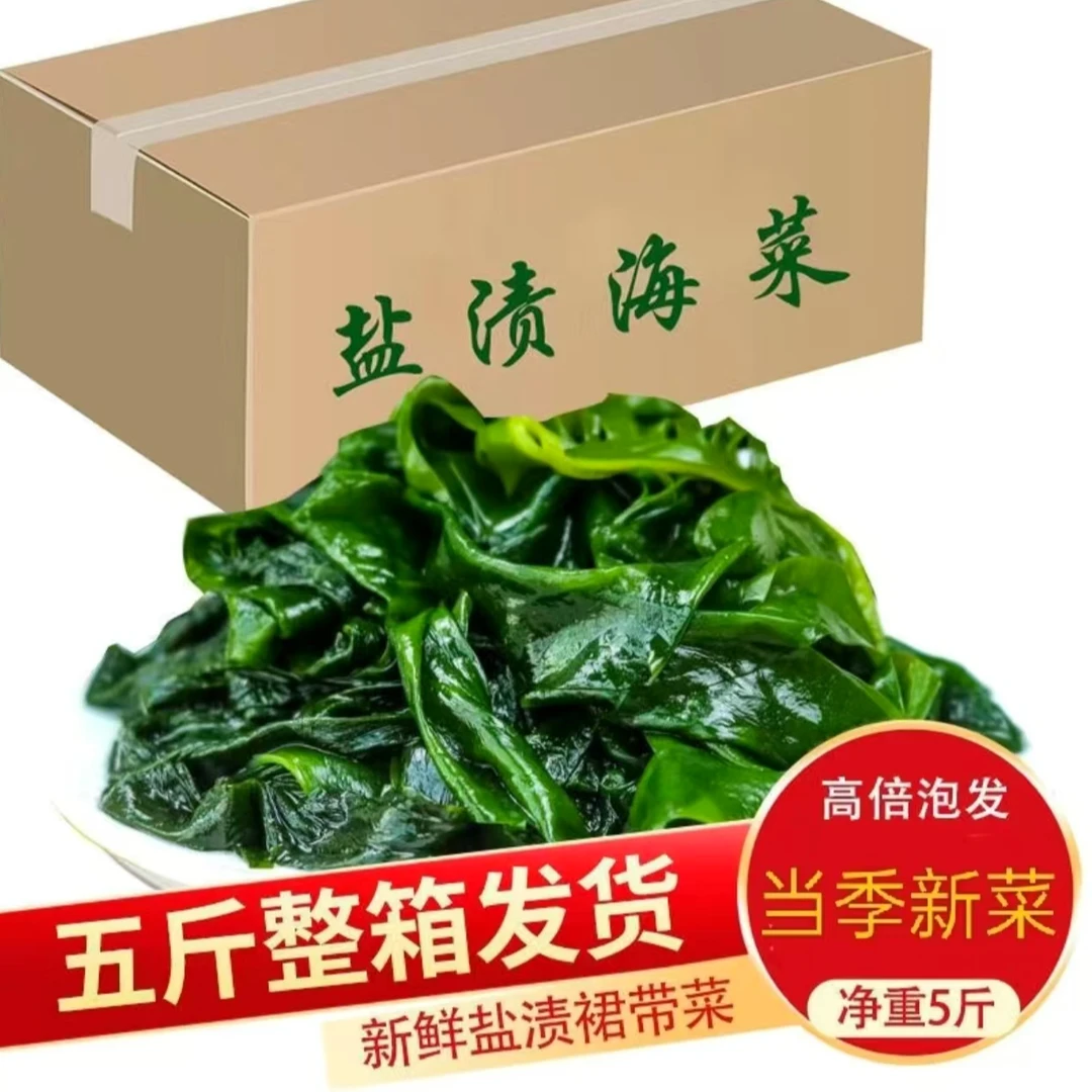 商用盐渍裙带菜海白菜海藻菜海带裙带菜凉拌菜麻辣烫火锅食材