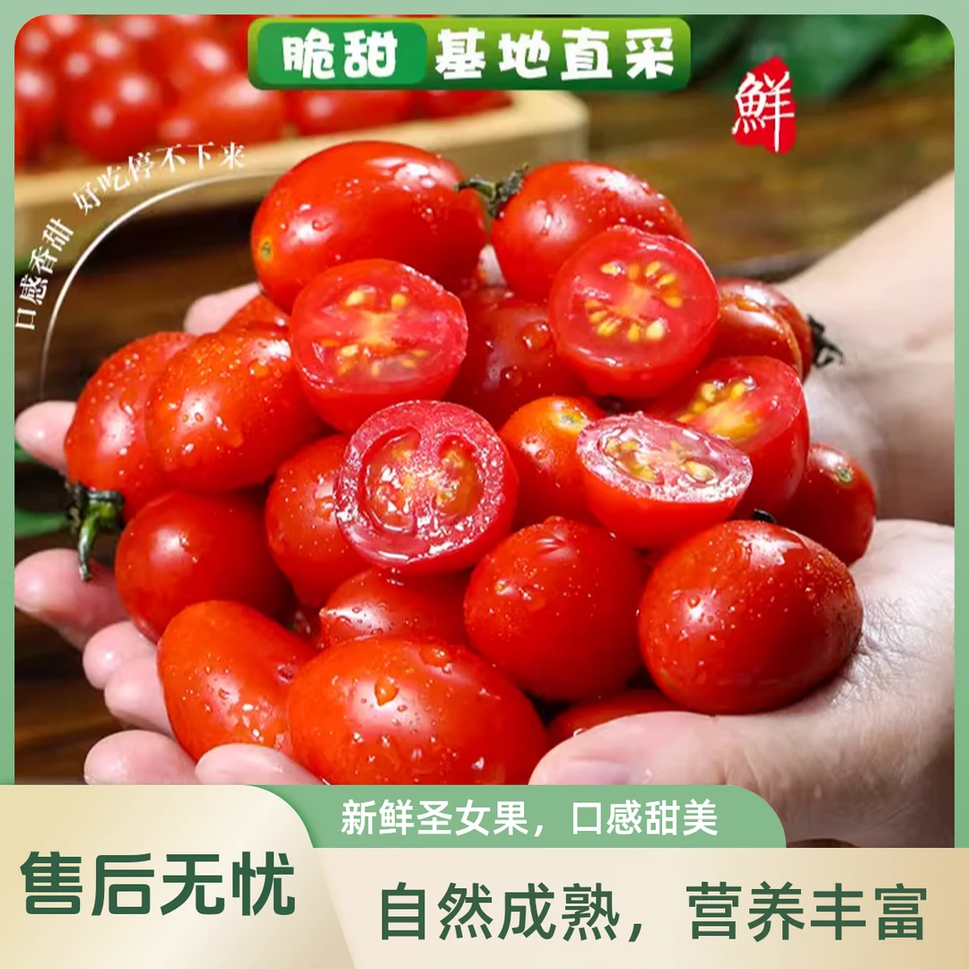 正宗攀枝花千禧/圣女果小番茄新鲜采摘酸甜多汁3斤/5斤【川渝贵阳次日达 顺丰/京东包邮】千禧圣女果四川省