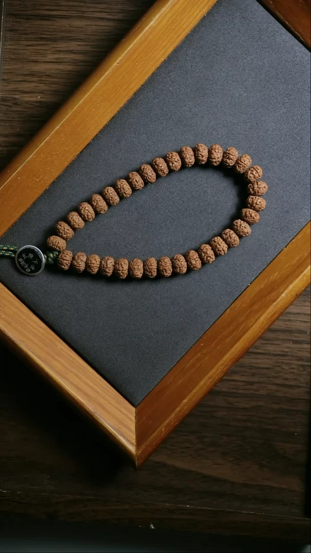 把件金刚菩提【退货刷过】原桩南瓜树王单圈10+25