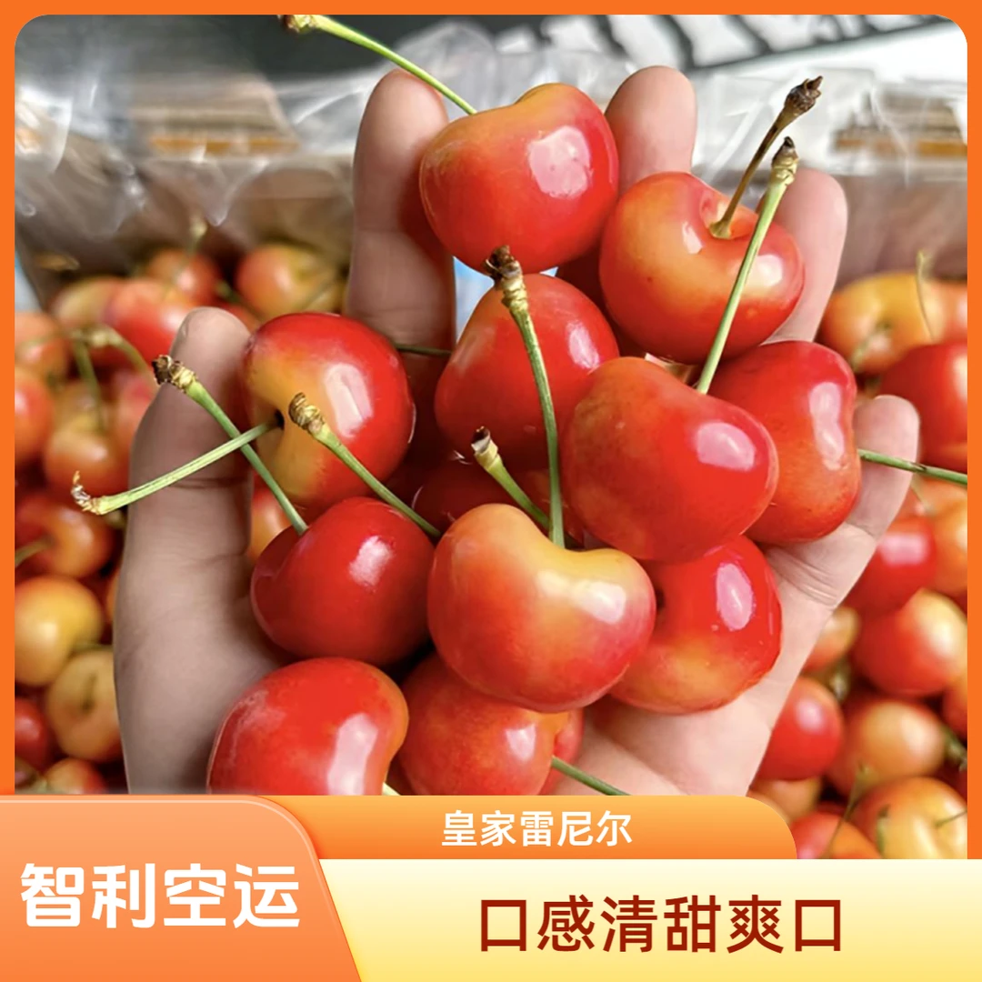 【空运雷尼尔】智利车厘子进口黄金车厘子原箱3J/4J/5J 2斤-4.4斤原箱雷尼尔车厘子樱桃雷尼尔智利