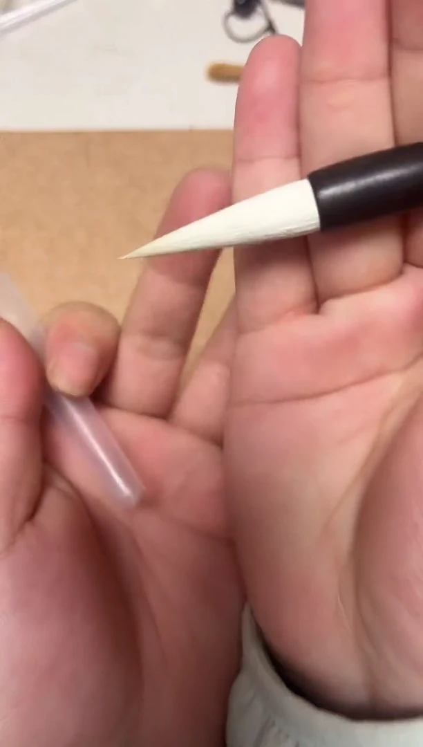 天狼+中书令+林风纤月 一套