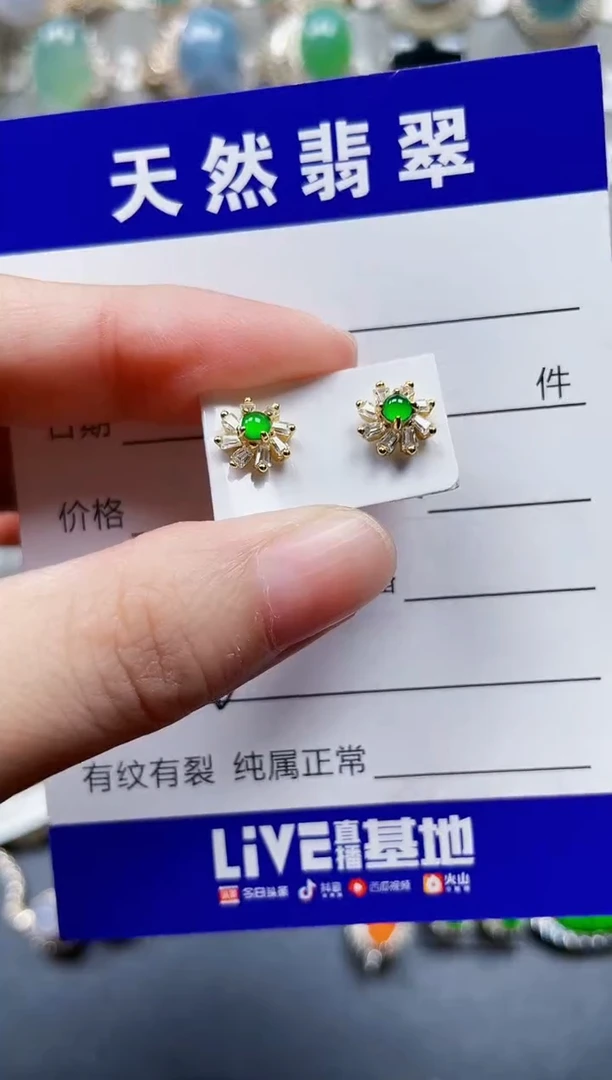银S925镶嵌翡翠耳饰136