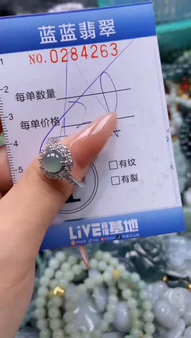 翡翠未镶嵌颈饰闪购0284263多样性发其一