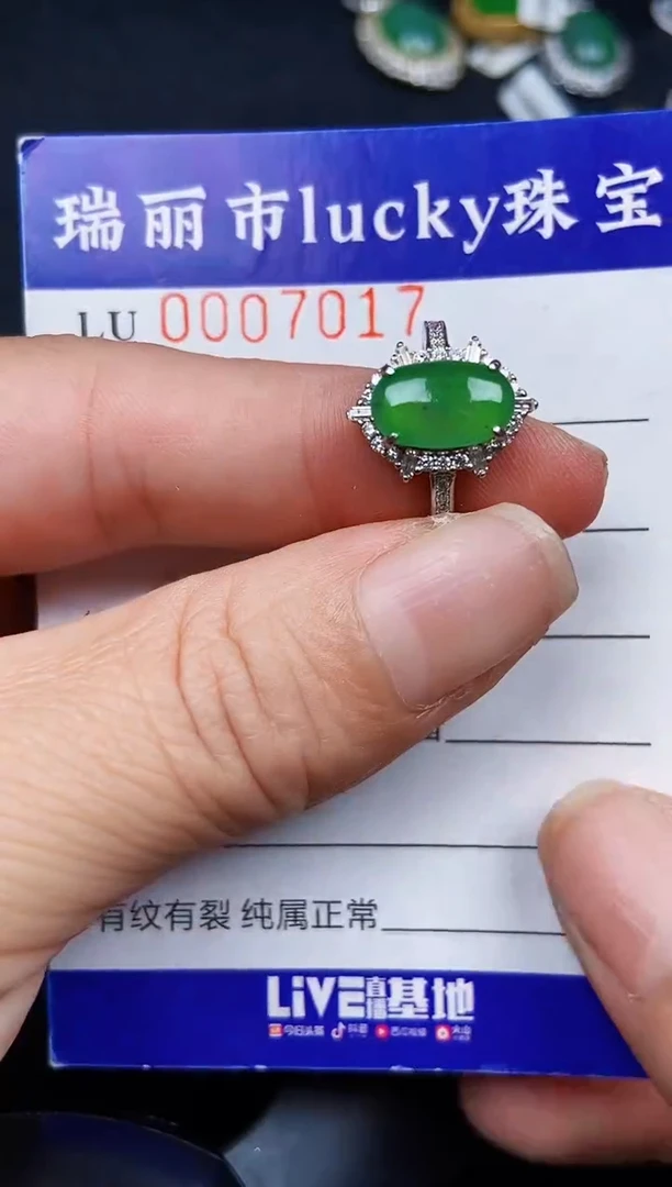 翡翠银S925镶嵌颈饰7017