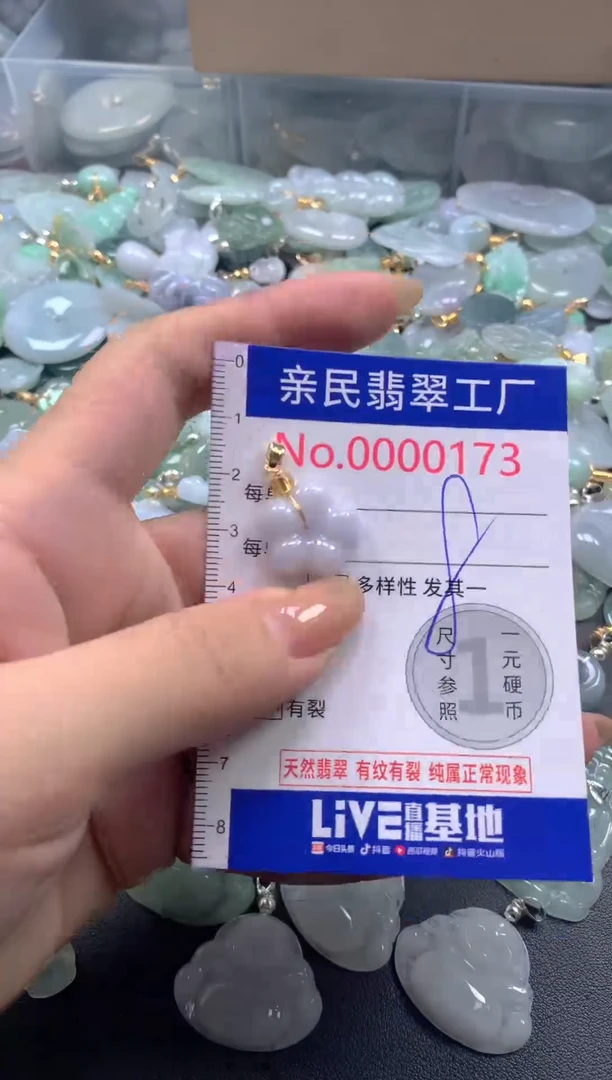 颈饰未镶嵌翡翠173