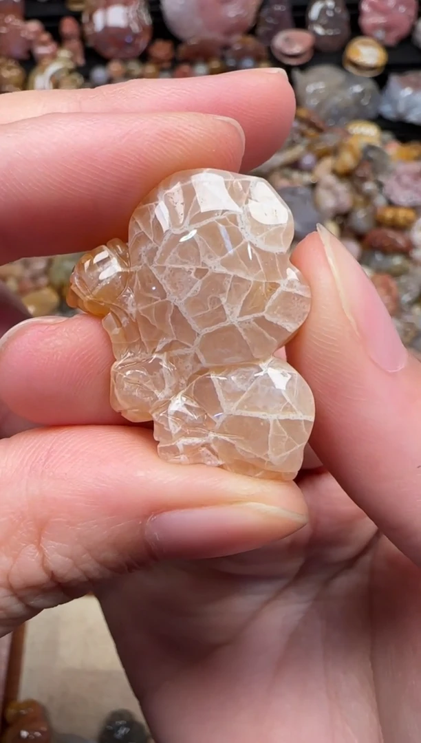 颈饰未镶嵌硅化珊瑚（珊瑚玉）560