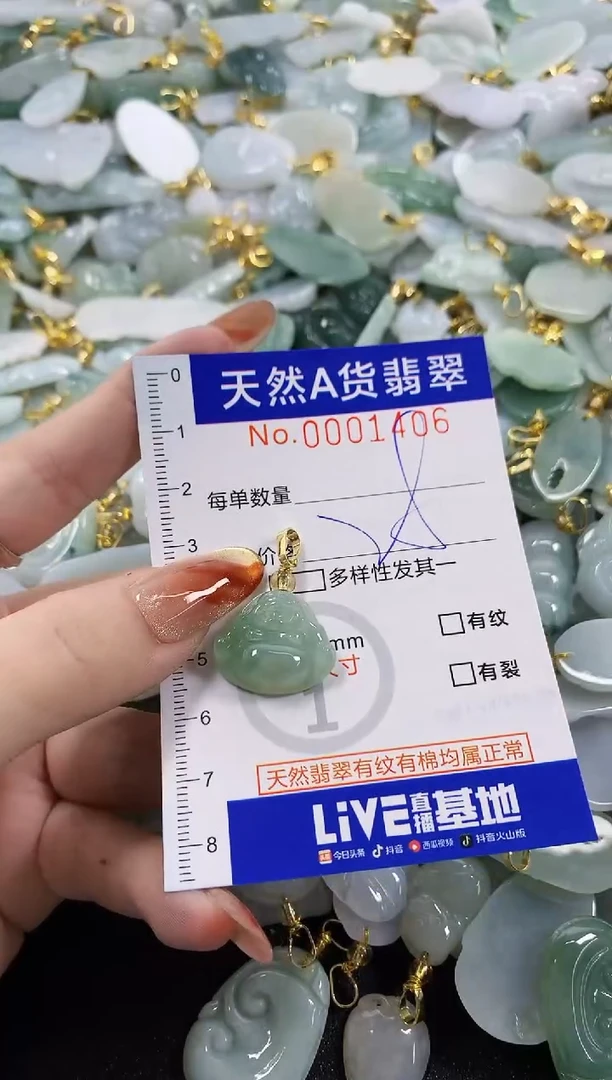 颈饰未镶嵌翡翠天然A货翡翠
