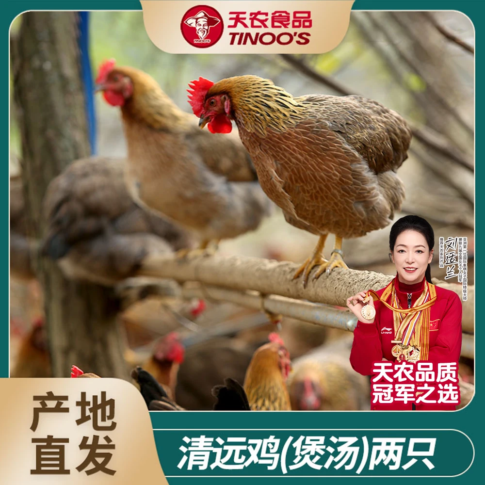 【天农】正宗清远鸡老母鸡走地鸡1kg/只*2