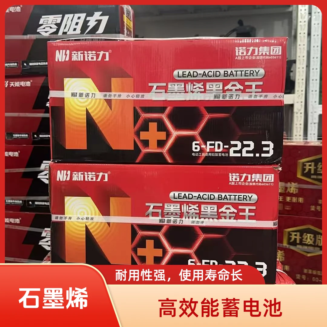 新诺力22.3安60V/72V石墨烯黑金王