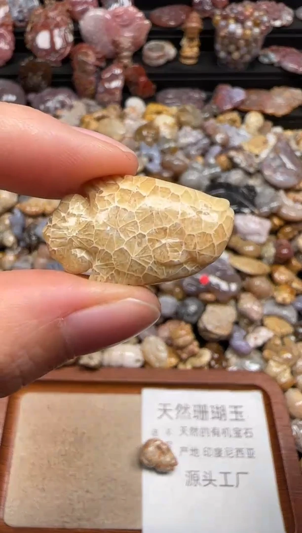 【闪购商品】硅化珊瑚（珊瑚玉）颈饰未镶嵌744