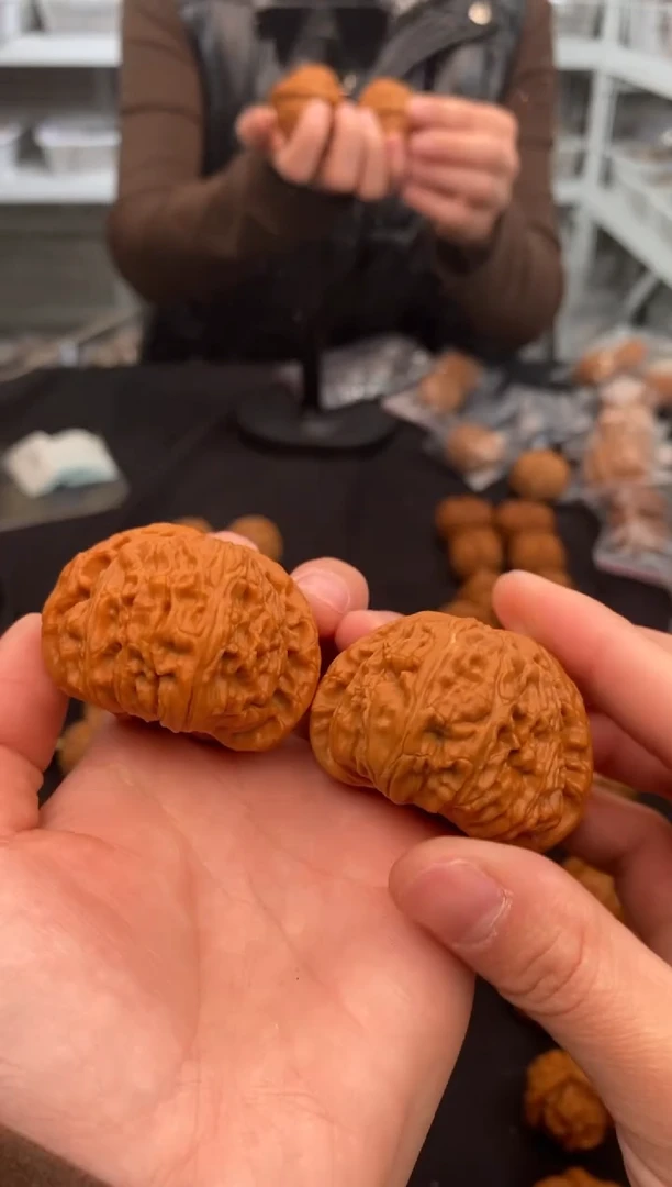 【闪购商品】文玩核桃把件白狮子45-u433